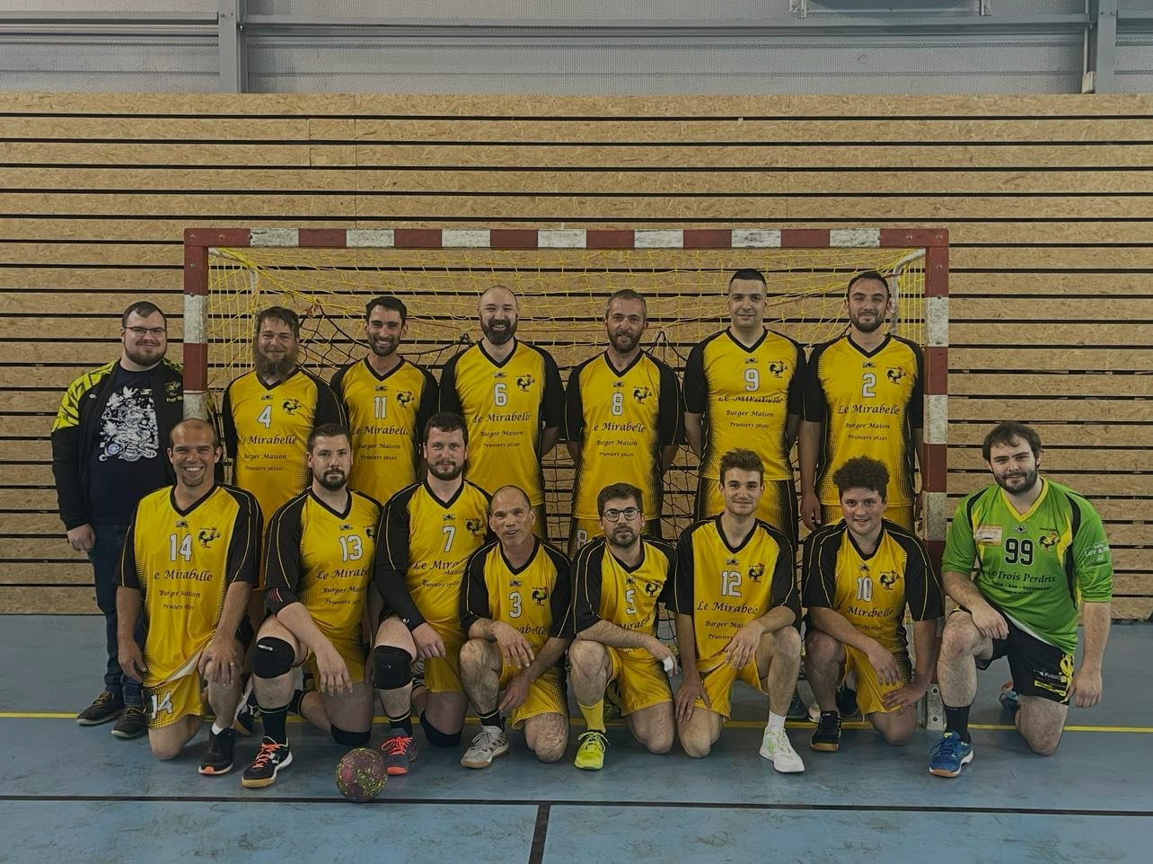Section Handball