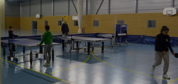 Section Tennis de table